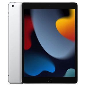 iPad Silver - Apple